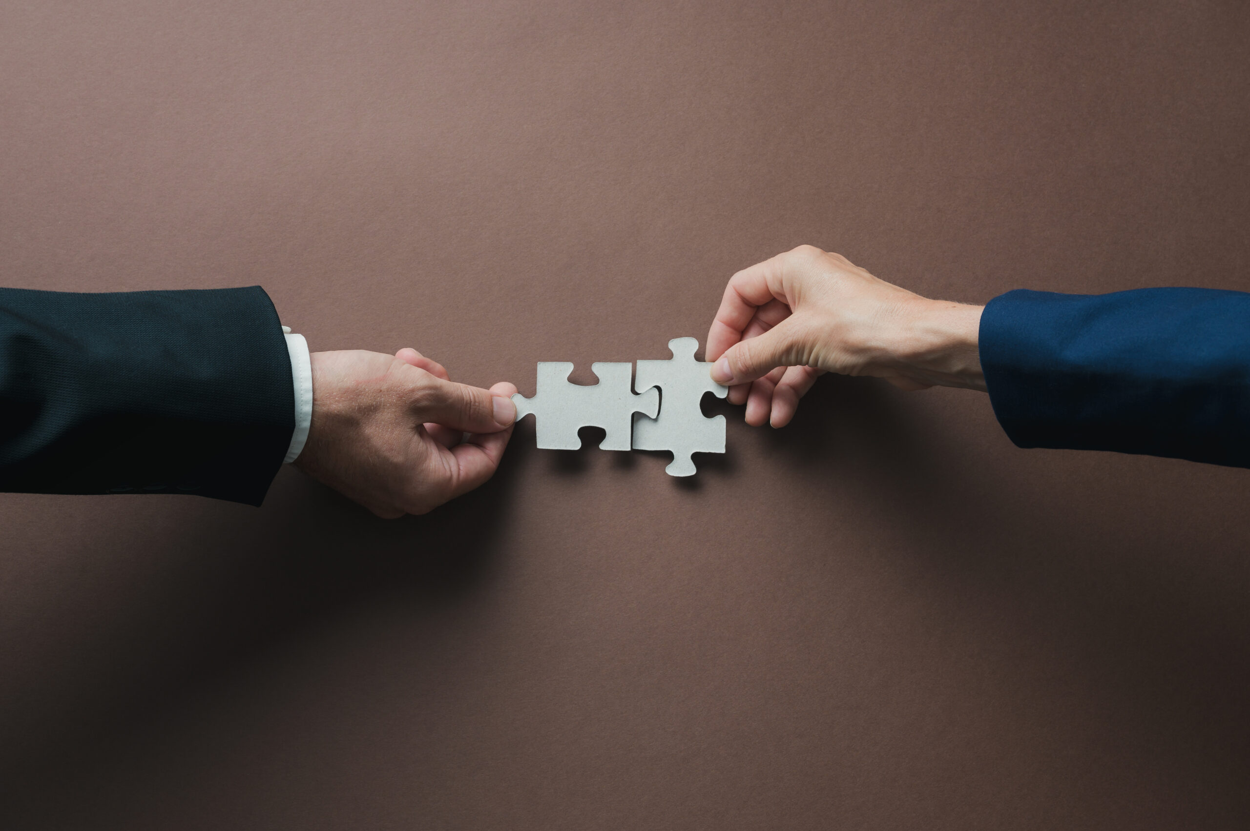 Constitutional Court Clarifies the Test for Third-Party Intervention in Large Merger Proceedings